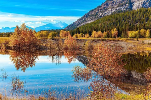 Sunny day in October. Picturesque Abraham Lake. Canadian autumn. The yellow and orange leaves of