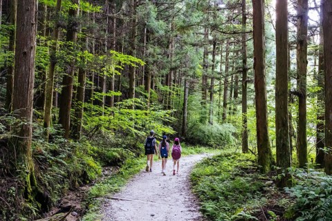 Hiking path landscape on the famous Magome-Tsumago Trail as part of the Nakasendo Way between