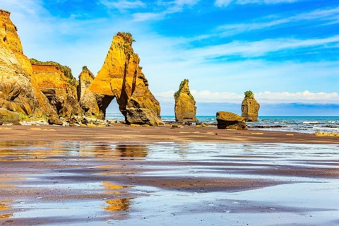 The Tongaporutu beach on the Pacific coast. New Zealand. North Island. Low tide on the Pacific