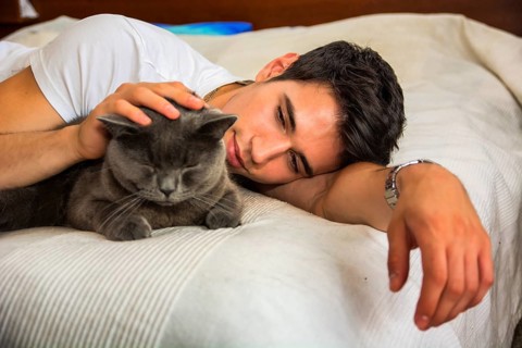 Handsome Young Animal-Lover Man on a Bed, Hugging and Cuddling his Gray Domestic Cat Pet