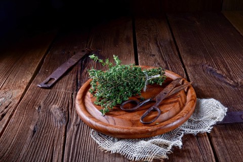 Thyme (Thymus vulgaris)