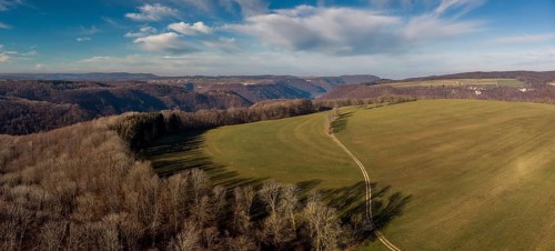 Forest landscape from the air