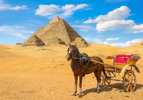 Horse wit carriage near great pyramids in Giza desert, Egypt, Africa
