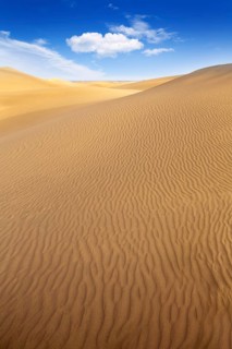 Desert sand dunes in Maspalomas Oasis Gran Canaria at Canary islands