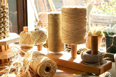 Esparto halfah grass used for crafts as cords basketry and espadrilles