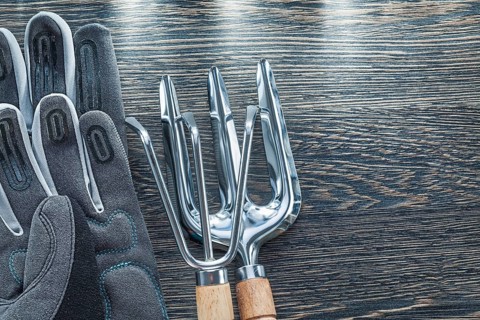 Gardening rake trowel fork protective gloves on wooden board