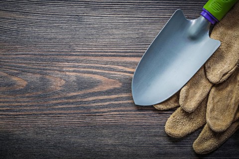 Trowel pair of leather safety gloves on wooden board directly above gardening concept