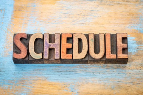 Schedule - word abstract in vintage letterpress wood type