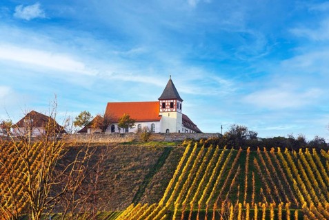 The Michaelsberg in Cleebronn, Zabergäu, Baden-Württemberg, Germany, Europe