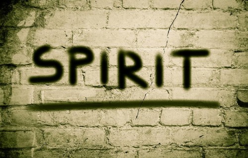 Spirit Concept