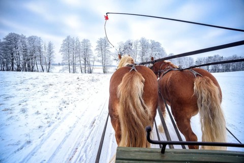 Sledging in the snow in Masuria in Poland