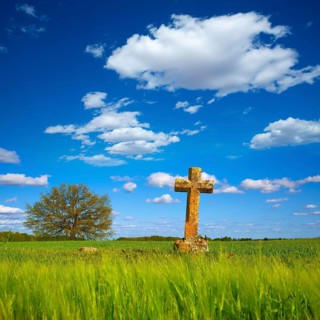 The Way of Saint James cross in Palencia cereal fields of Spain