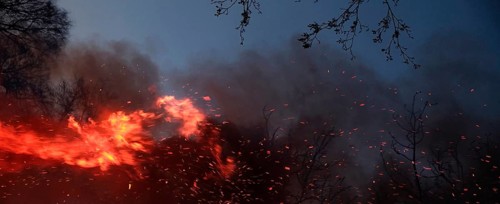 Fire with flying sparks, smoke and blazing flames at dusk. Landscape format. Forest fire with