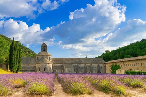 Monasteries of the Cistercian