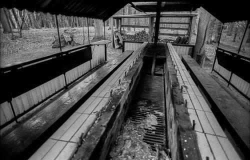Germany, Eixen, 16.9.1991, property of a Politburo member, barbecue for several party guests,