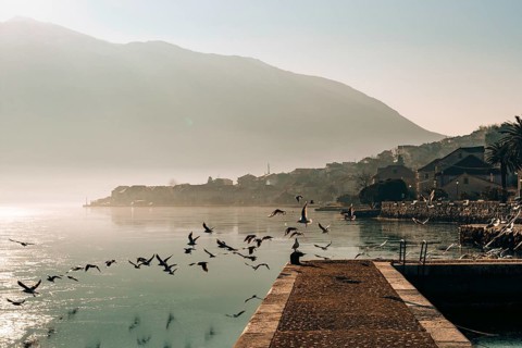 Seagull flying in the sky over the water