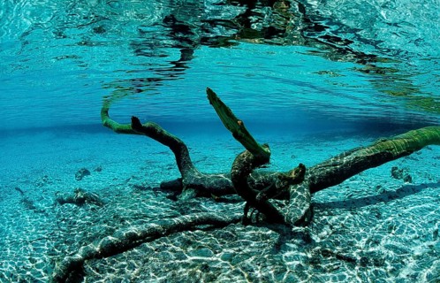 Water reflection, USA, Florida, FL, Crystal River, North America
