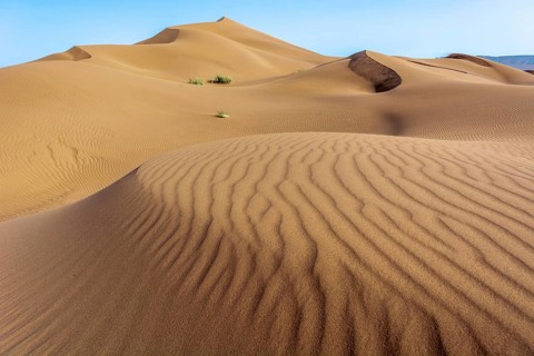 Erg Chebbi, sand desert of Merzouga, southeast of Morocco. Popular destination for travellers.