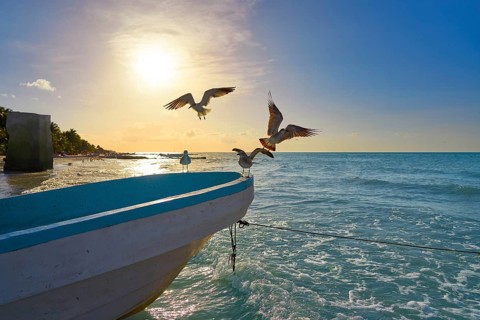 Holbox tropical Island seagulls beach boat in Quintana Roo of Mexico
