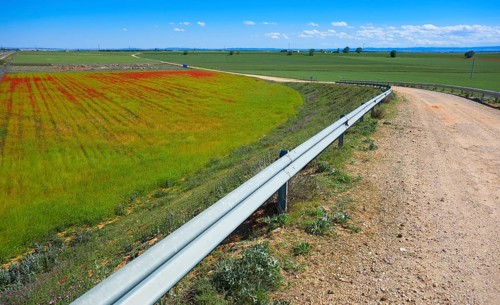 Cereal field meadow in Castile La Mancha of Spain by Saint James Way of Levante