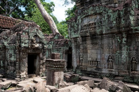 Buddhist temple buildings, jungle temples, mystical, Ta Prohm, Buddhist temple complex, UNESCO