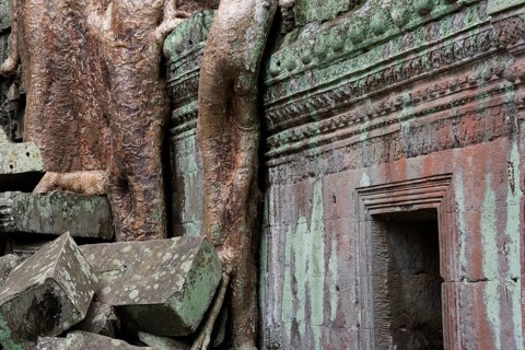The Bohdi tree takes possession of the enchanted temple city, jungle temple, mystical, Ta Prohm,
