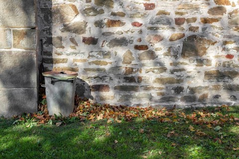 Too many, too many leaves to be collected
