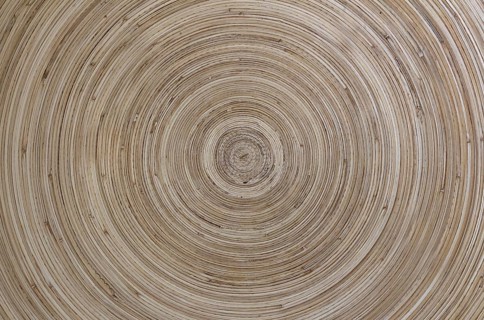 Concentric pattern of wood, with warm tones and clear