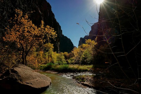 Narrows riverside walk Zion National Park