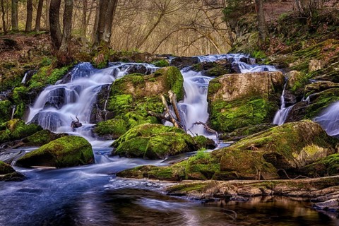 Waterfall located in the forest