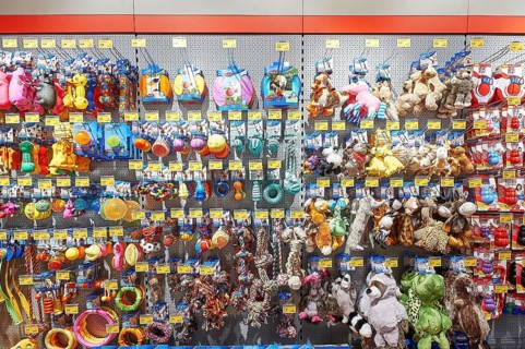 Toys for dogs and cats, Futterhaus shop, Buxtehude, Lower Saxony, Germany, Europe