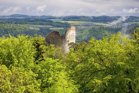 Ruined castle embedded in lush green vegetation under a cloudy sky, Altbodman castle ruins, Bodman,
