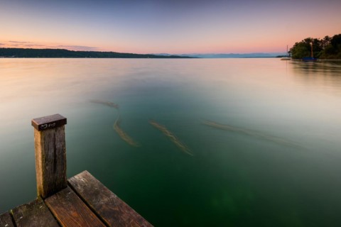 Wooden footbridge at Lake Starnberg near Bernried in Upper Bavaria in summer at sunrise