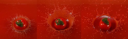 Cherry Tomatoe (solanum lycopersicum), Fruit falling into tomatoe's Juice