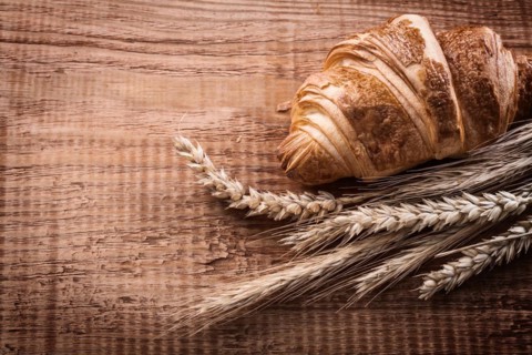 Yummy croissant bundle of wheat ears on oak wooden board food and drink concept