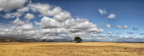 Landscape in the semi-desert Karoo in South Africa