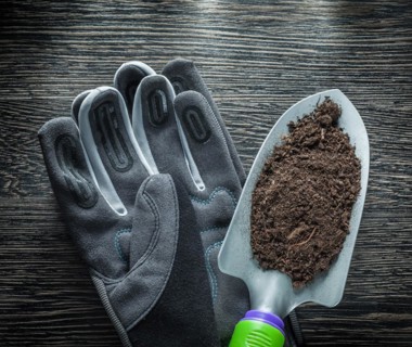 Garden shovel Earth safety gloves on wooden board