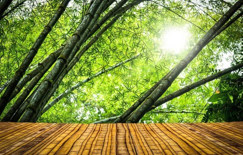 Bamboo stage in a green tropical rainforest