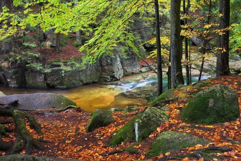 Szklarka stream in autumn forest of Karkonoski National Park, Karkonosze Mountains, Lower Silesia,