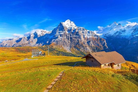 Grindelwald First, Switzerland aerial Swiss Alps mountains panorama landscape, wooden chalet and