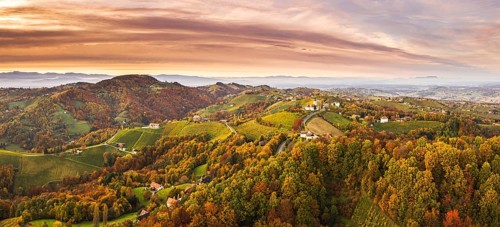 Aerial panorama of Vineyard on an Austrian countryside in Kitzeck with a church in the background