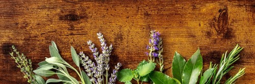 Aromatic herbs panoramic banner with copy space, shot from the top on a rustic wooden background.