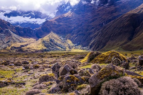 Mossy volcanic Andean landscape in afternoon light near El Altar volcano in Riobamba region,