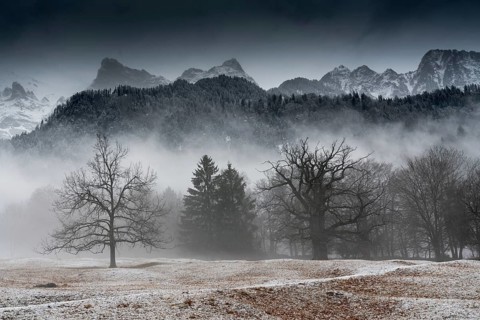 winter forest and mountain landscape in bad weather with fog and rime on the ground in the