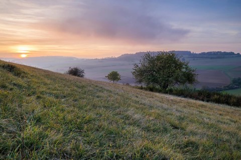 A hilly landscape with grass and trees at sunset, depicting a peaceful and vast nature, Bisberg,