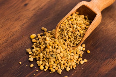 Close-up of bee pollen