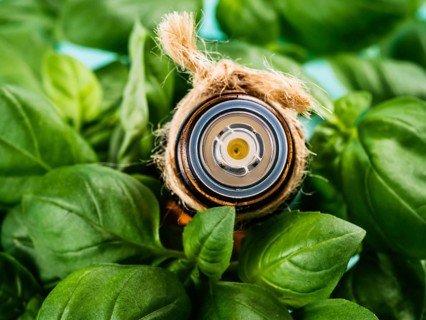 Bottle of basil essential oil with fresh basil