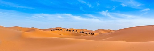 Merzouga in the Sahara Desert in Morocco. Afica. Web banner in panoramic view