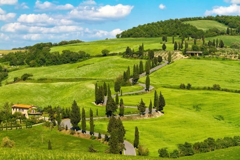 Tuscany road with cypress trees, Val d'Orcia, Italy, Europe