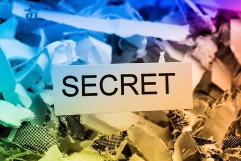 Paper shreds with the keyword Secret, symbolic photo for data destruction, banking secrecy and